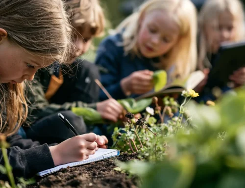 Fra observasjon til fagtekst – skriv med utgangspunkt i skolehagen