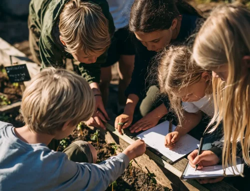 Skolehagen som matematisk laboratorium