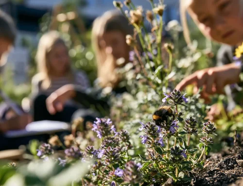 Pollinatorenes skolehage – fra blomster til biologisk mangfold